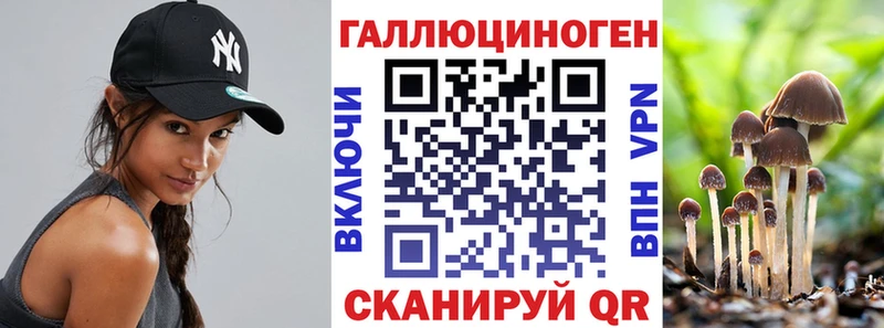 даркнет формула  Мариинский Посад  Псилоцибиновые грибы Psilocybine cubensis 